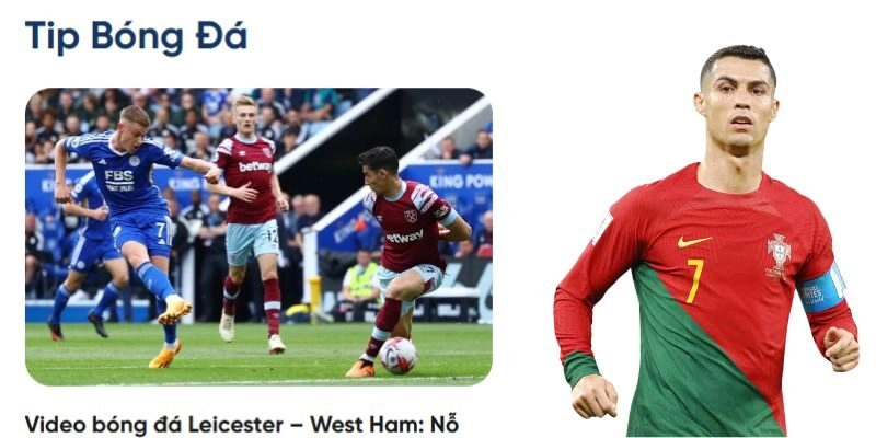 Các chuyên mục hay có mặt tại 7M